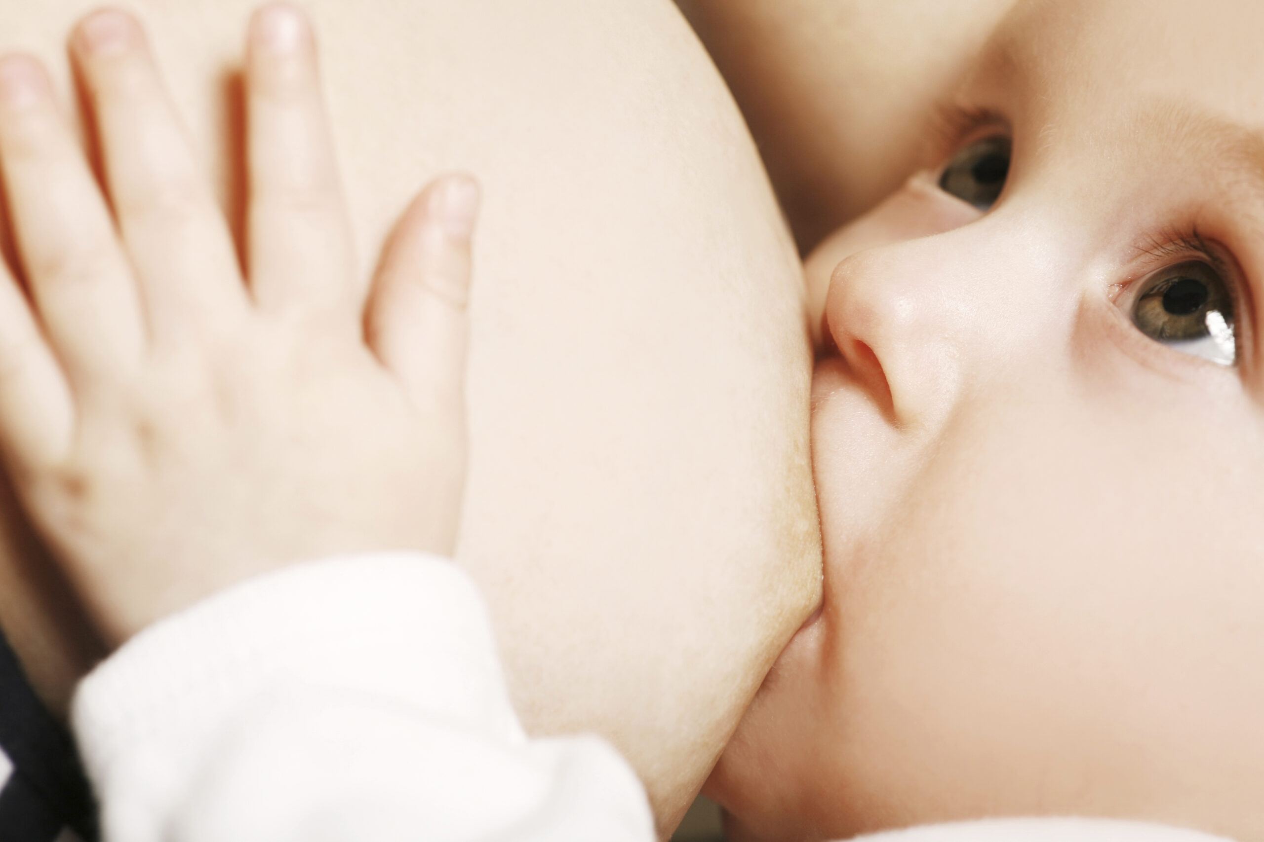 Сосок кормящей матери. Малыш у груди. Кусает грудь. Ребенок кусает грудь. Молочница и грудное вскармливание.